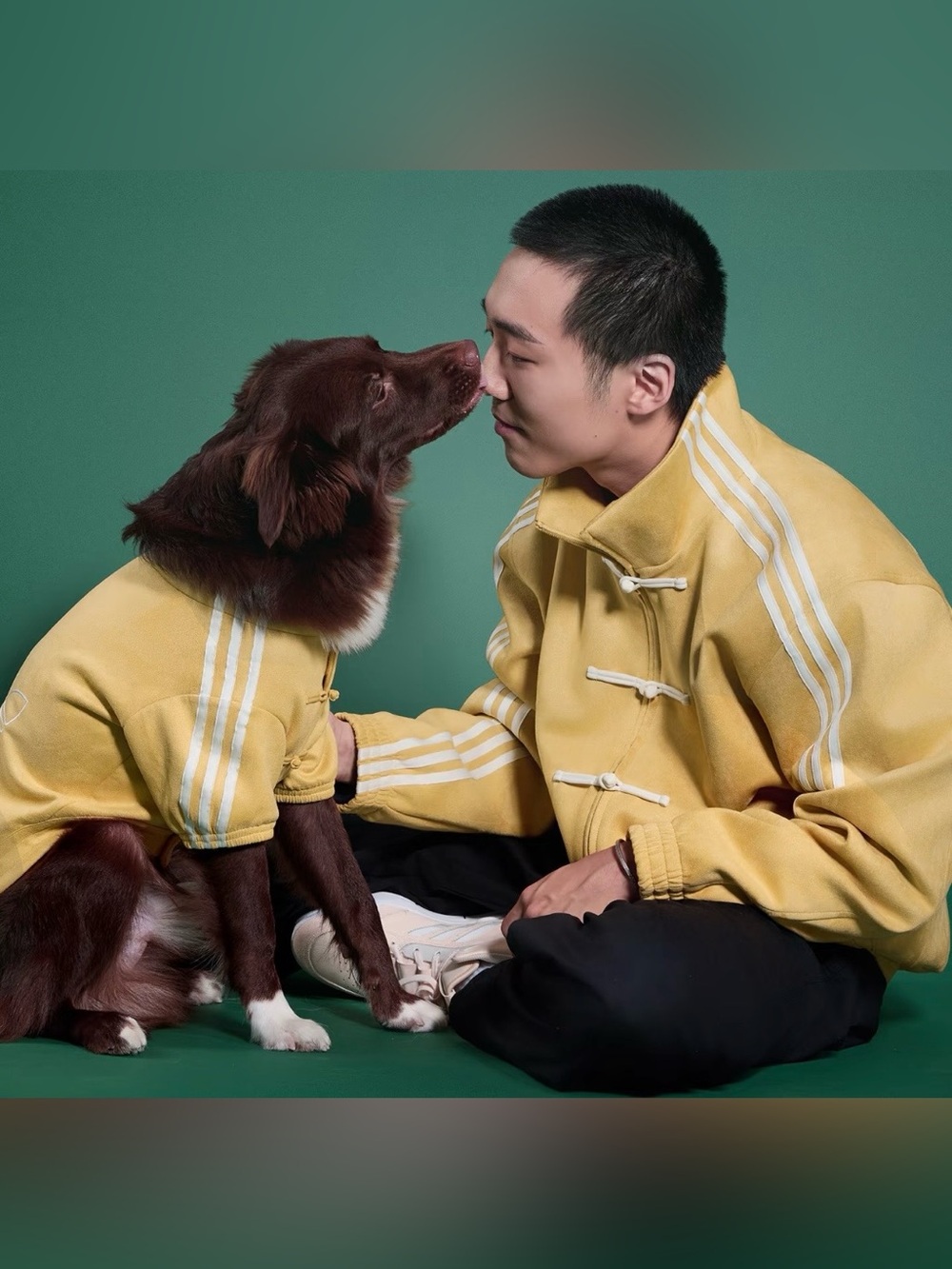 Adidas Pet CTT Chinese Style Soft Track Top Yellow Tang Style KZ4781 - Picture 4 of 9
